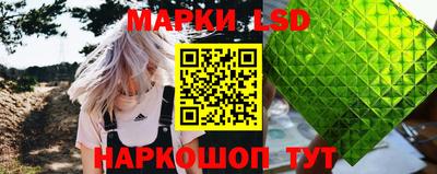 шишки Будённовск