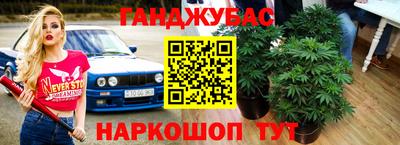шишки Будённовск