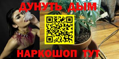 шишки Будённовск
