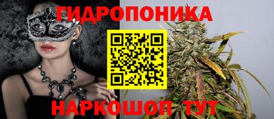 шишки Будённовск
