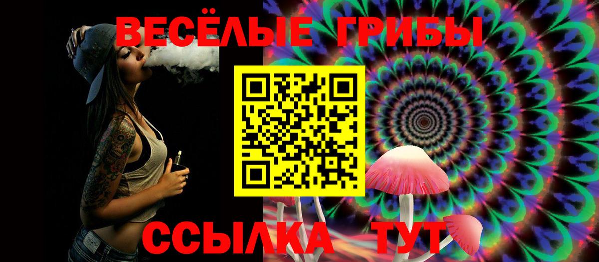 Псилоцибиновые грибы Psilocybe  дарнет шоп  Галлюциногенные грибы Psilocybine cubensis  Морозовск  Вход с VPN 